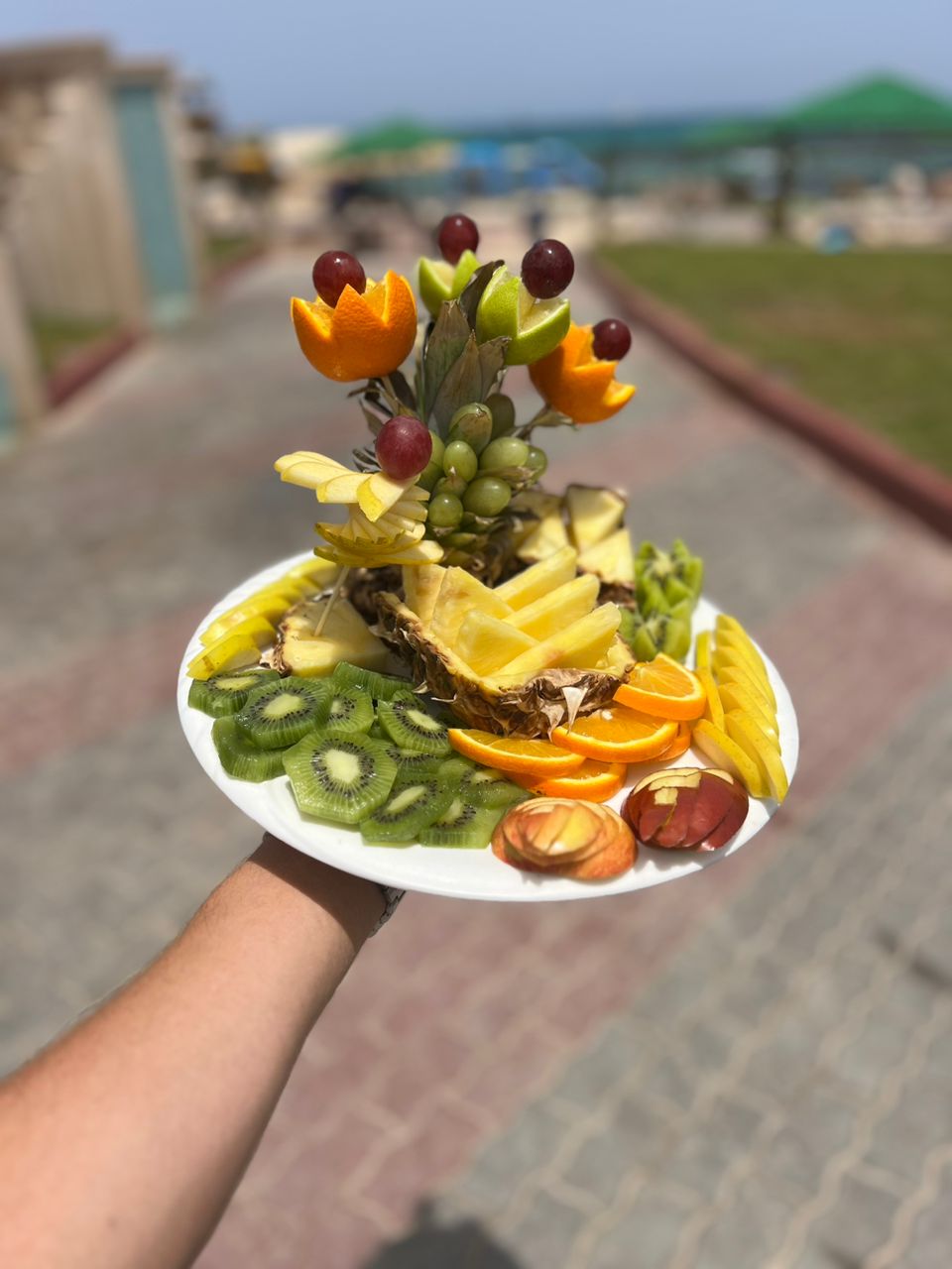 صحن فواكه متوسط